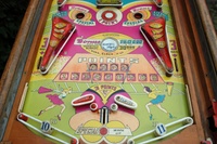 Image # 59944: College Daze Lower Playfield 
(The left flipper should be white. Serial number 013073CD.)