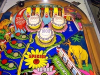 Image # 41597: Wood's Queen Upper Playfield