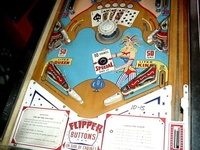 Image # 15512: Royal Flash Lower Playfield
