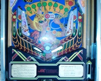 Image # 71791: Walkyria Lower Playfield