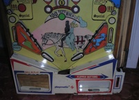 Image # 50093: Robin Hood Lower Playfield 
(The playfield in the manufacturer's flyer has white rubbers.)