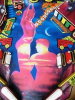 Image # 52604: Papillon Lower Playfield