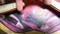 Image # 52615: Papillon Under Flippers