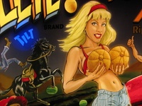 Image # 64777: Whoa Nellie! Big Juicy Melons� Tilt Light 
(Serial number 4030-3. Photographed at Chicago Expo 2012.)