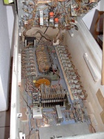 Image # 19831: Alligator Inside Cabinet