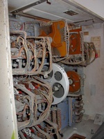 Image # 19832: Alligator Inside Backbox