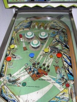 Image # 19834: Alligator Playfield