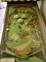 Image # 8258: Alligator Playfield