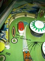 Image # 26679: Alligator Playfield - Detail 
(Alligator See (Lake). Serial number 1109.)