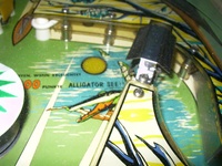 Image # 26681: Alligator Playfield - Detail 
(Alligator See (Lake). Serial number 1109.)