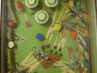 Image # 8260: Alligator Middle Playfield