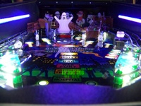 Image # 62272: America's Most Haunted Illuminated Playfield