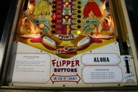Image # 39688: Aloha Illuminated Lower Playfield 
(The manufacturer did not design the playfield with a post between the flippers. The post shown here was added later.)