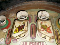 Image # 18173: Aloha Upper Playfield