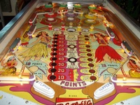Image # 60854: Aloha Playfield