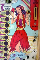 Image # 40968: Aloha Playfield - Detail