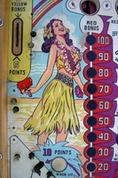 Image # 40966: Aloha Playfield - Detail
