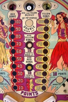 Image # 40967: Aloha Playfield - Detail