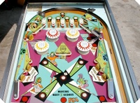Image # 12308: Daffie Playfield