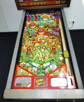 Image # 66035: Whoa Nellie! Big Juicy Melons� Playfield