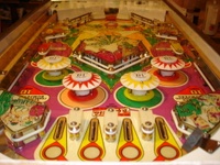 Image # 30298: Dancing Lady Playfield - Downfield View