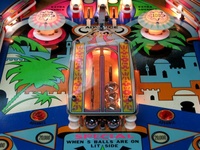Image # 44722: Darling Illuminated Playfield - Detail 
(Serial number 174552.)