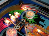 Image # 44721: Darling Illuminated Playfield - Detail 
(Serial number 174552.)