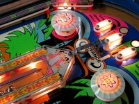 Image # 44720: Darling Illuminated Playfield - Detail 
(Serial number 174552.)