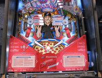 Image # 74307: Domino�s Spectacular Pinball Adventure (Standard Edition) Illuminated Lower Playfield