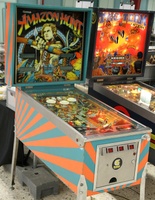 Image # 65053: Amazon Hunt Cabinet - Full View