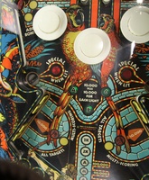 Image # 65050: Amazon Hunt Playfield - Detail