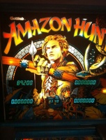 Image # 49941: Amazon Hunt Illuminated Backglass