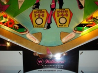 Image # 30198: Derby Day Flippers