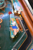 Image # 76767: Hustler Playfield - Detail