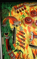 Image # 65119: Devil's Dare Playfield - Detail
