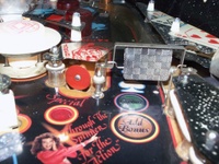 Image # 14919: Diamond Lady Playfield - Detail