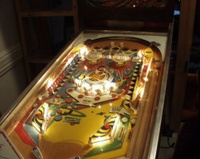 Image # 17579: Dimension Illuminated Playfield