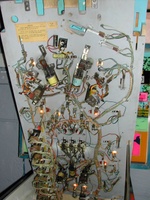 Image # 18681: Dolphin Under Playfield