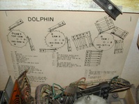 Image # 18683: Dolphin Motor Chart