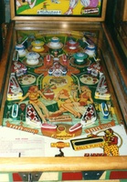 Image # 8: Ace High Playfield