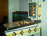 Image # 8744: Domino Cabinet - Right