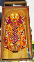 Image # 76244: Double Action Playfield 
(The side rails have been re-stained.)