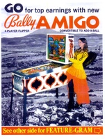 Image # 4009: Amigo Flyer, Front