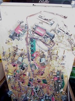 Image # 42167: Dr. Dude And His Excellent Ray Under Lower Playfield