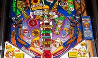 Image # 54017: Dr. Dude And His Excellent Ray Lower Playfield