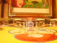 Image # 52571: Ducks Playfield - Ball View