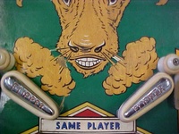 Image # 24432: El Toro Playfield - Detail