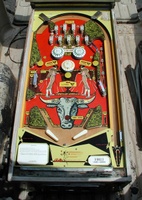 Image # 11995: El Toro Playfield 
(The post between the flippers is not original to this game.)