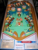 Image # 12603: Aquarius Illuminated Playfield
