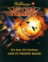 Image # 4623: F-14 Tomcat Flyer, Front